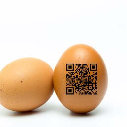 Egg_Traceability