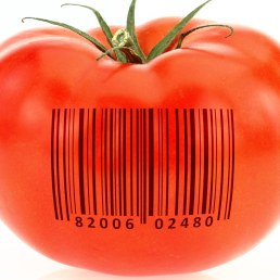 Tomato coded to represent product identification